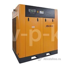 Винтовой компрессор Berg ВК-250 7 IP54