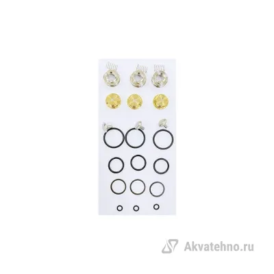KIT 702 Рем. комплект обратного клапана для помпы DS 1650