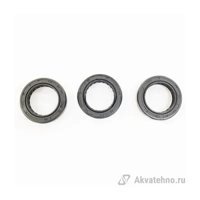 KIT 704 Рем. комплект маслянных сальников для помпы DS 1650	